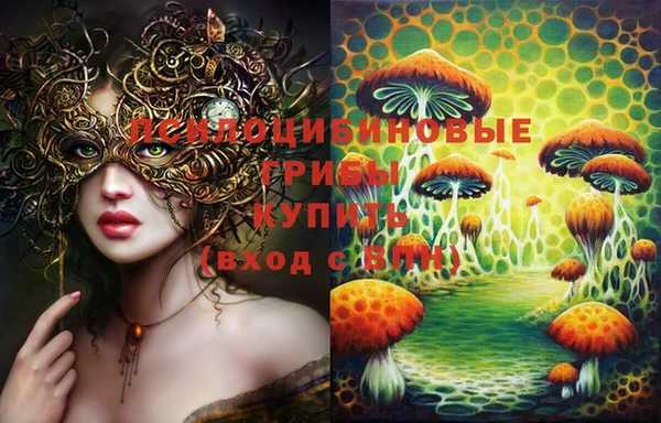шишки Алзамай