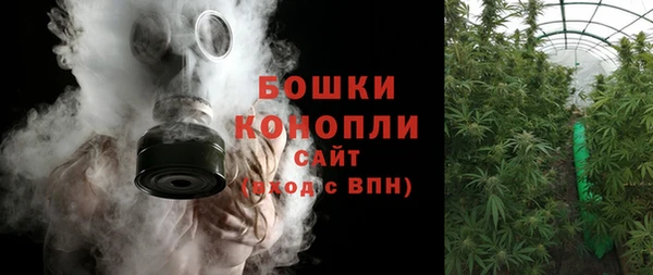 шишки Алзамай