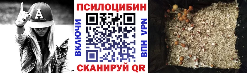 купить  сайты  Урай  Псилоцибиновые грибы Psilocybe 